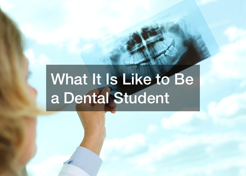 What It Is Like to Be a Dental Student